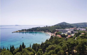 Nice apartment in Mlini with WiFi and 1 Bedrooms